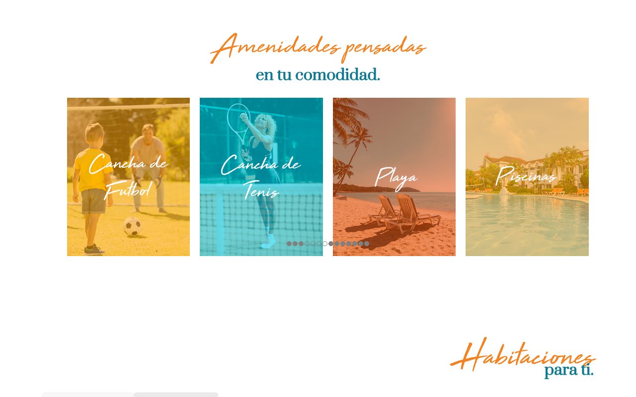 Screenshot of the Hotel Palma Real website, amenities section